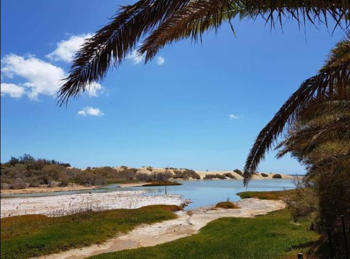 Bungalow Tropical Con Piscina Y Aire Acondicionado Maspalomas  Dış mekan fotoğraf